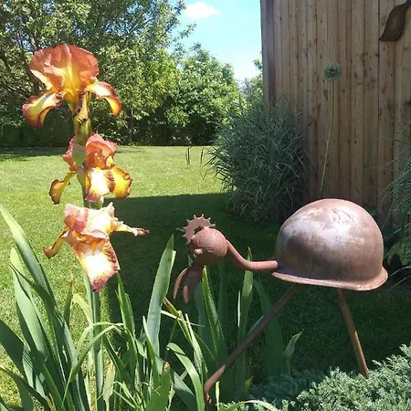 Le Perchoir Bed & Breakfast