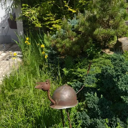 Le Perchoir Bed & Breakfast Libin