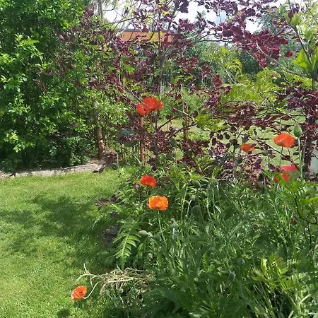 Bed & Breakfast Le Perchoir