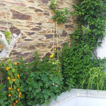 Bed & Breakfast Le Perchoir Libin