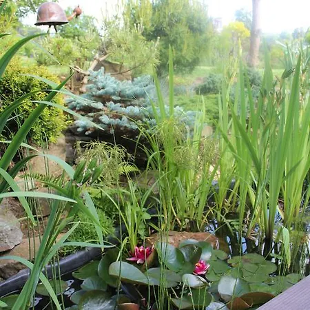 Le Perchoir Bed & Breakfast