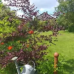 Bed and breakfast Le Perchoir Libin