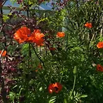Bed and breakfast Le Perchoir 3*