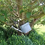 Bed and breakfast Le Perchoir 3*