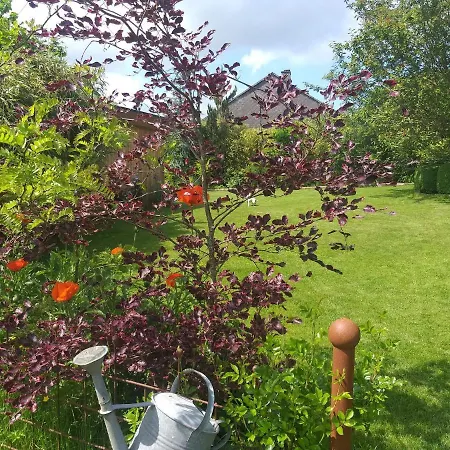 Couette-café Le Perchoir Libin