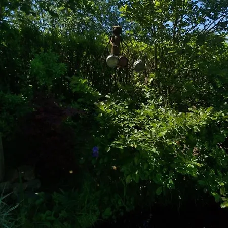 Couette-café Le Perchoir 3*