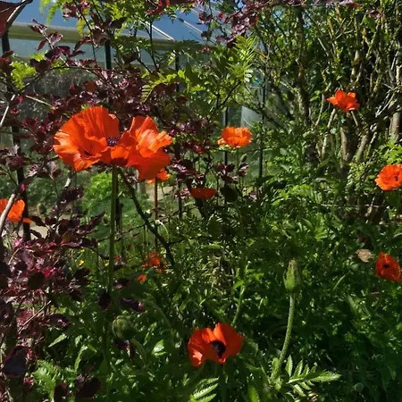 Couette-café Le Perchoir 3*