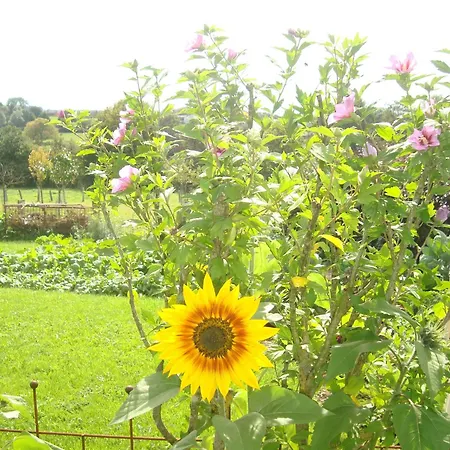 Couette-café Le Perchoir 3*