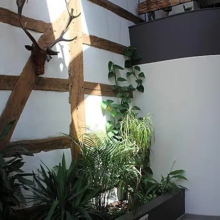 Le Perchoir Libin
