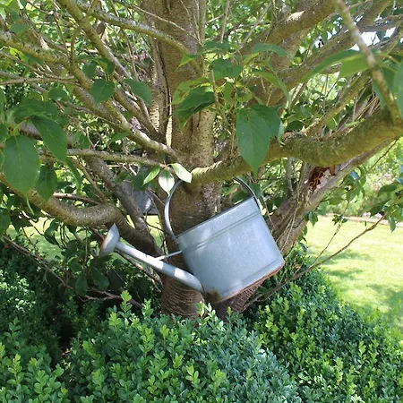 Couette-café Le Perchoir 3*