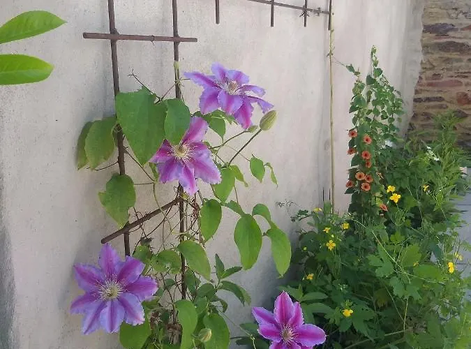 Frühstückspension Le Perchoir