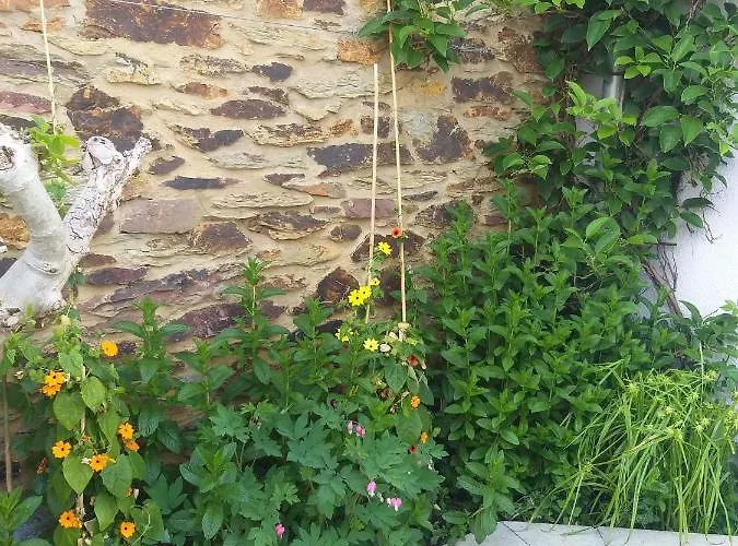 Frühstückspension Le Perchoir Libin