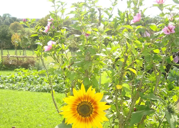 Frühstückspension Le Perchoir 3*