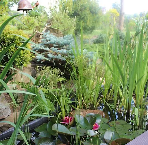 Le Perchoir Отель типа 