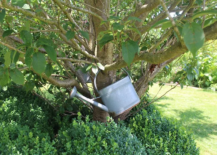 Frühstückspension Le Perchoir 3*